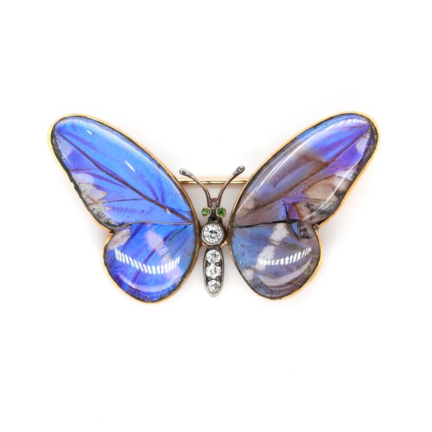Edwardian Butterfly Wing Brooch - Main Image