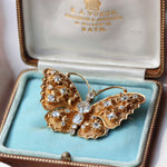 Victorian Butterfly Brooch-Charlotte Sayers Antique Jewellery