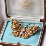 Victorian Butterfly Brooch-Charlotte Sayers Antique Jewellery