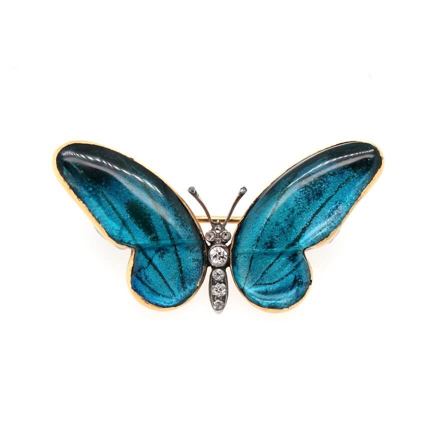 Butterfly Wing Brooch