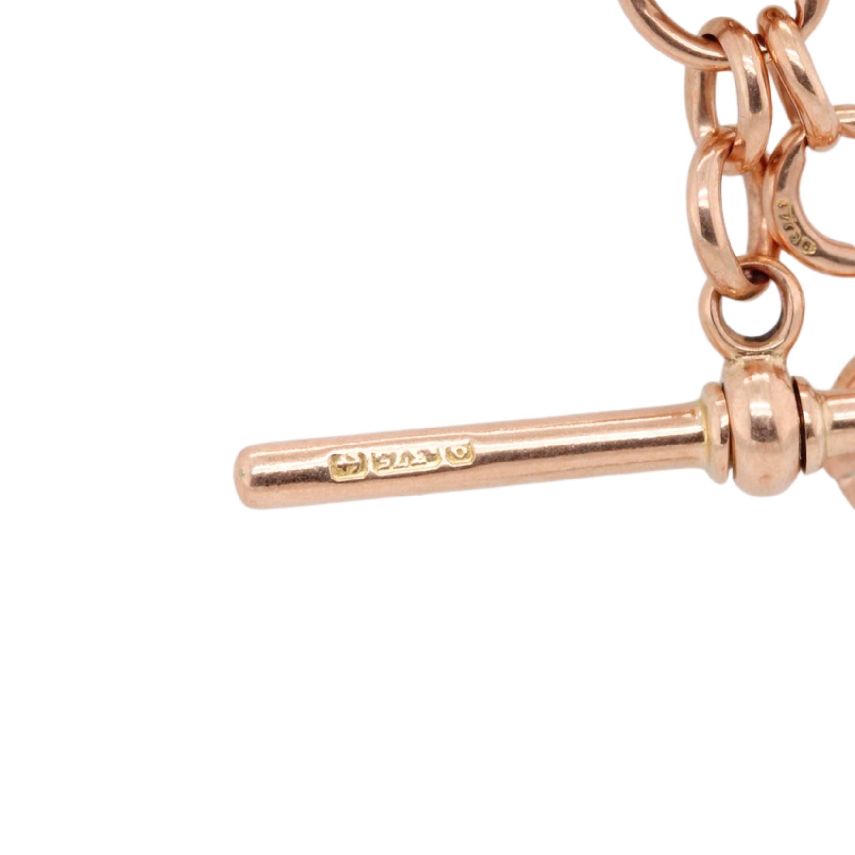 9ct Gold Albert Chain with T Bar and Bolt Rings-Charlotte Sayers Antique Jewellery