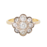 Antique Daisy Cluster