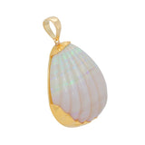 Carved Opal Shell Pendant with 15ct Gold Chain-Charlotte Sayers Antique Jewellery