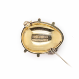David Anderson Ladybird Brooch-Charlotte Sayers Antique Jewellery