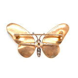 Edwardian Butterfly Wing Brooch-Charlotte Sayers Antique Jewellery