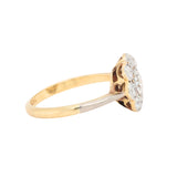 Edwardian Diamond Daisy Cluster Ring-Charlotte Sayers Antique Jewellery