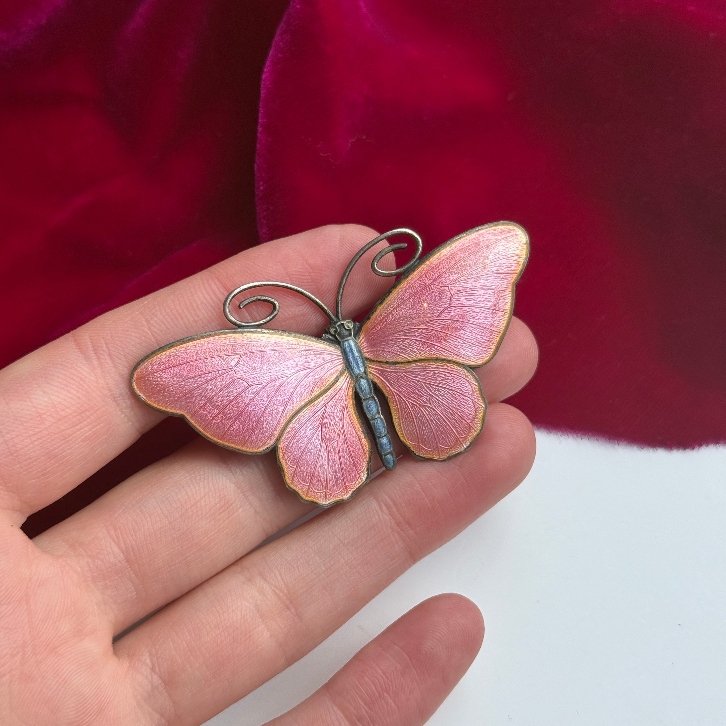 Enamel Butterfly Brooch-Charlotte Sayers Antique Jewellery