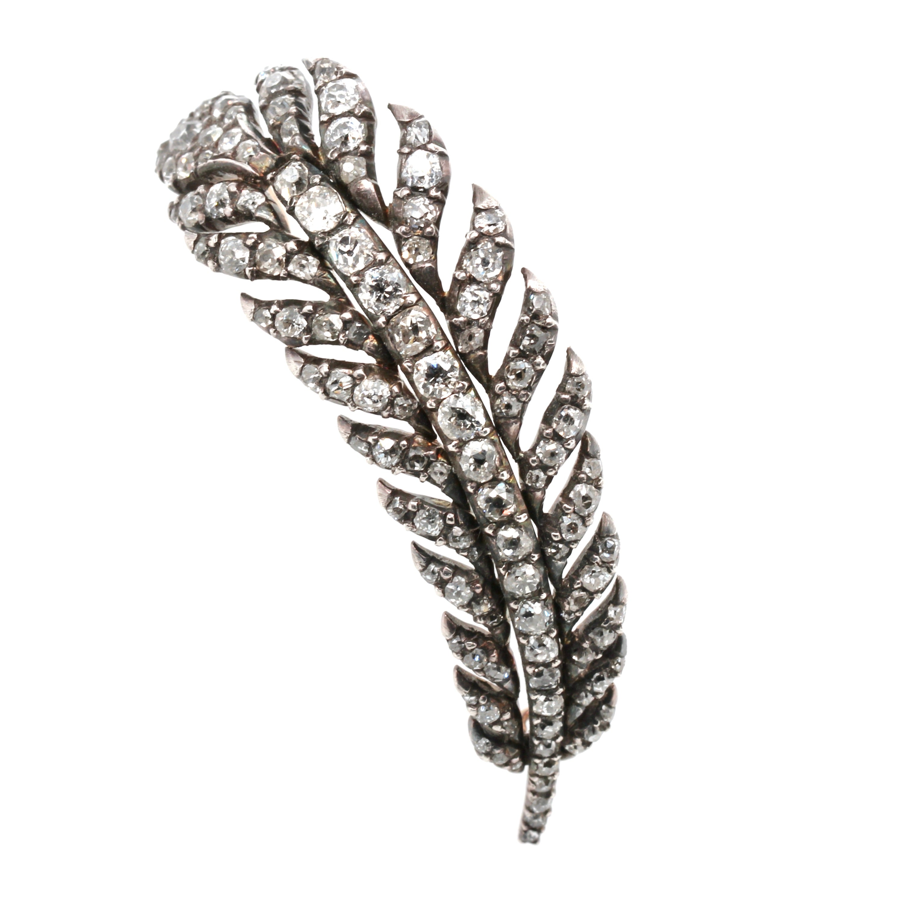 Georgian Diamond Feather Brooch-Charlotte Sayers Antique Jewellery