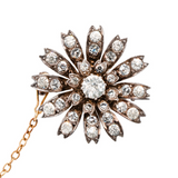 Paste Flower Brooch-Charlotte Sayers Antique Jewellery