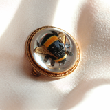 Essex Crystal Bumblebee