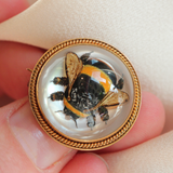 Essex Crystal Bumblebee
