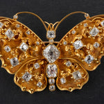 Victorian Butterfly Brooch-Charlotte Sayers Antique Jewellery