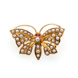 Victorian Butterfly Brooch-Charlotte Sayers Antique Jewellery