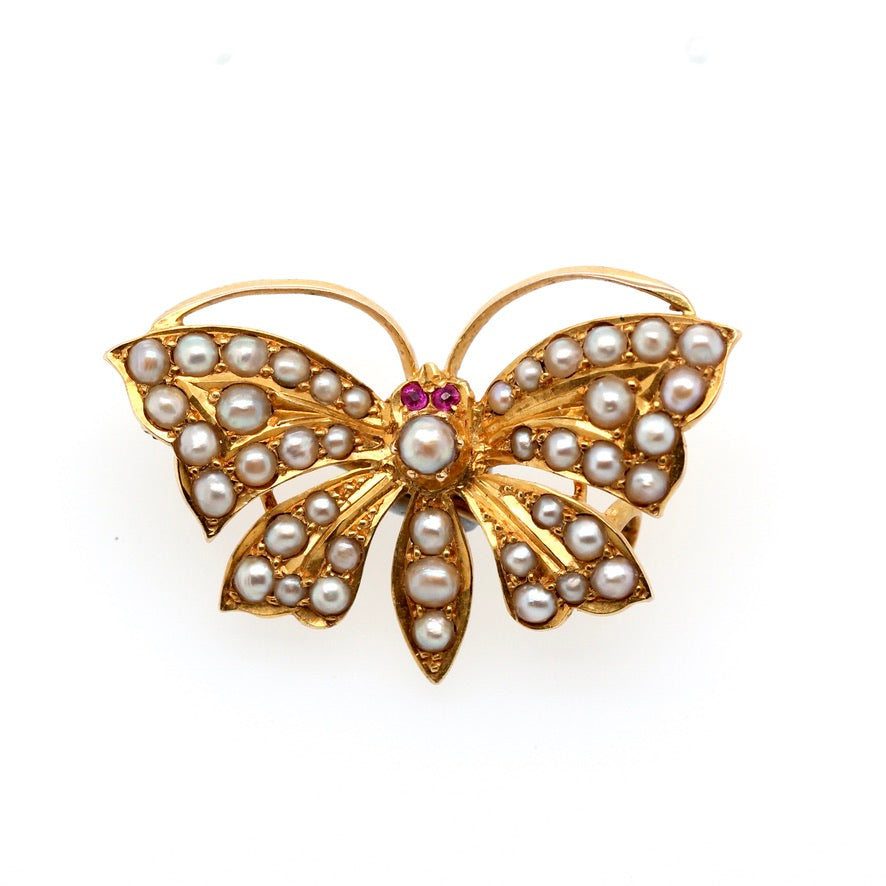 Victorian Butterfly Brooch-Charlotte Sayers Antique Jewellery