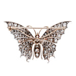 Victorian Diamond Butterfly Brooch-Charlotte Sayers Antique Jewellery