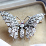 Victorian Diamond Butterfly Brooch-Charlotte Sayers Antique Jewellery