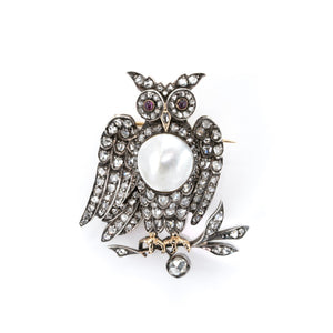 Victorian Diamond and Pearl Owl Brooch-Charlotte Sayers Antique Jewellery