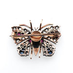 Victorian Multi Gem Butterfly Brooch-Charlotte Sayers Antique Jewellery