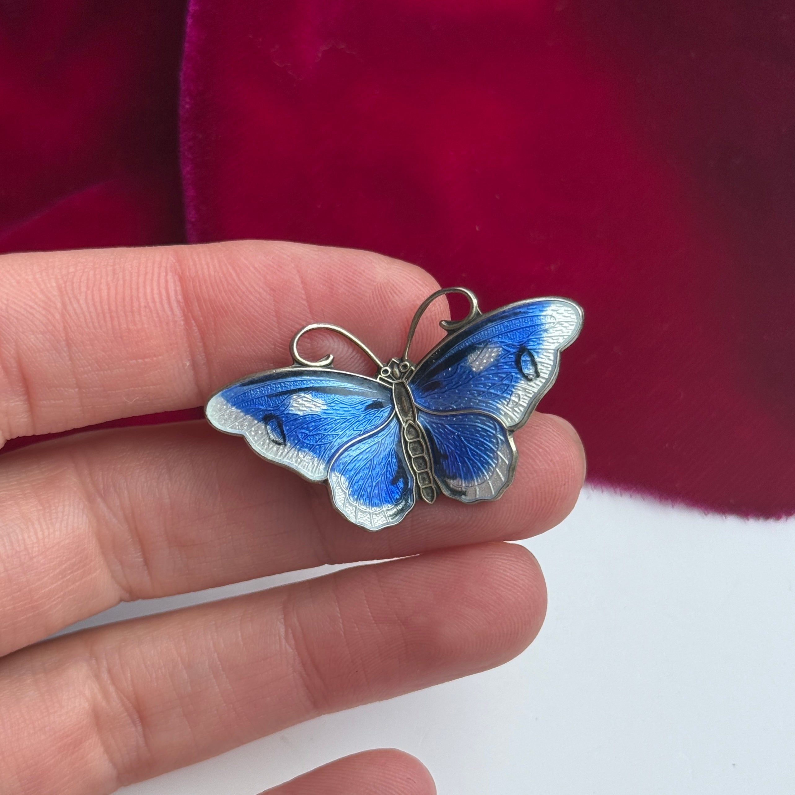 Vintage Enamel Butterfly Brooch-Charlotte Sayers Antique Jewellery