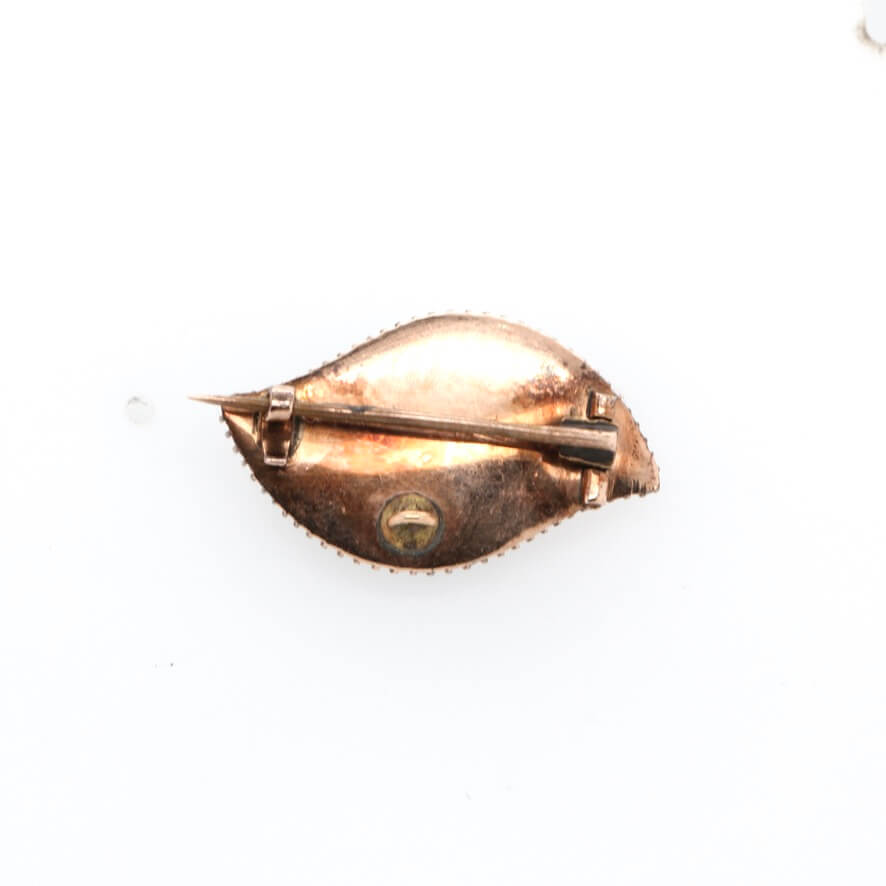 Georgian Eye Miniature Brooch