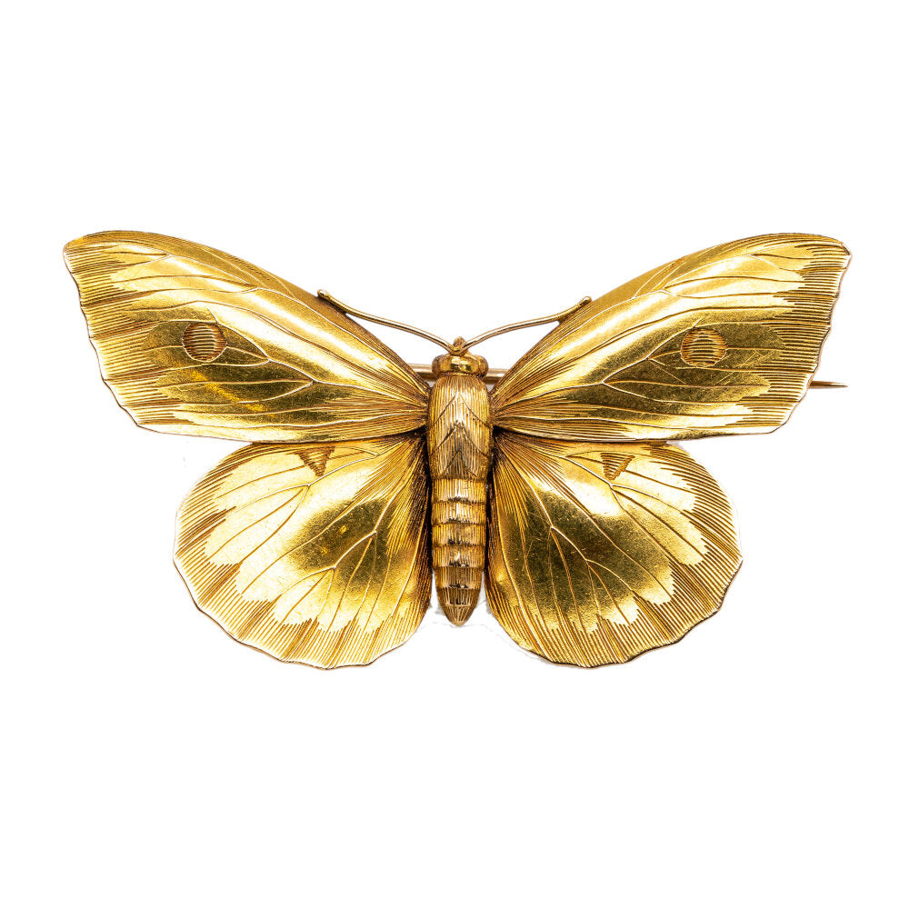 Victorian Fine Gold Butterfly Brooch
